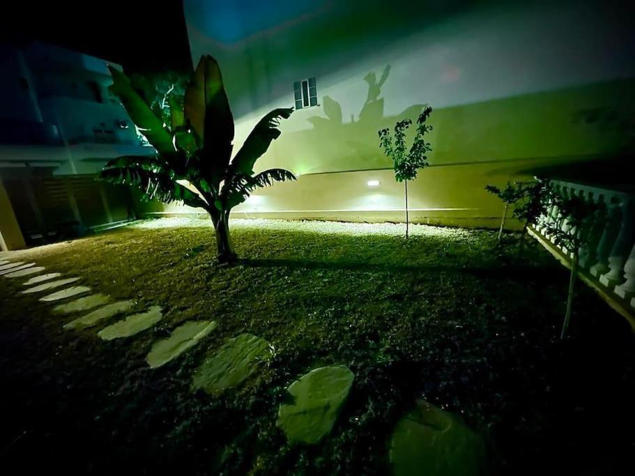 VI House Apartamento Artemida Exterior foto